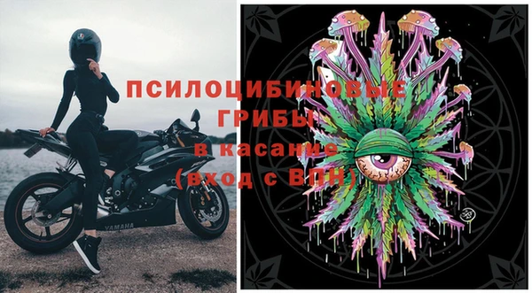 мдпв Магас