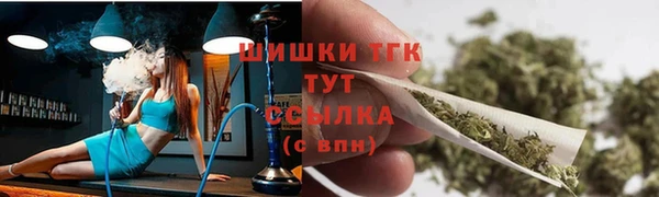 мдпв Магас