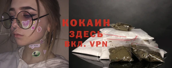 мдпв Магас