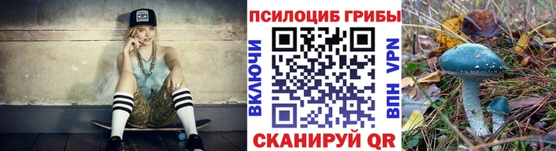 Псилоцибиновые грибы Magic Shrooms  Купить где  Майкоп 